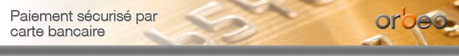 solutions de paiement en ligne